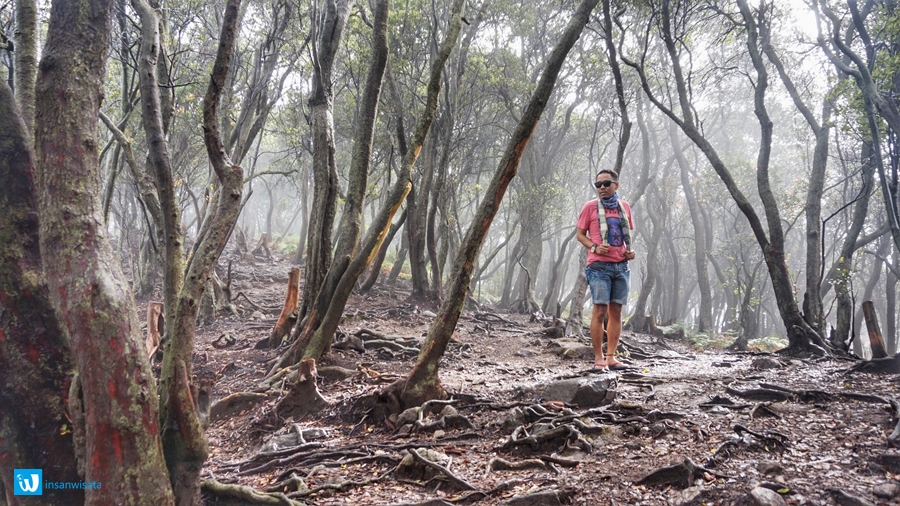 kawah putih ciwidey
