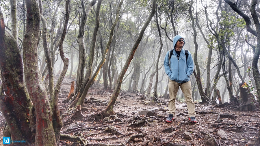kawah putih ciwidey