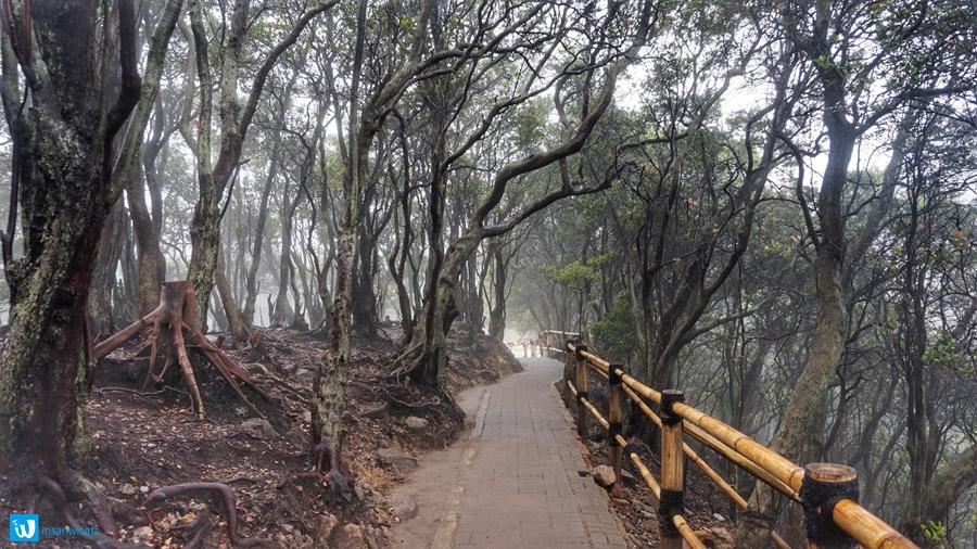 kawah putih ciwidey