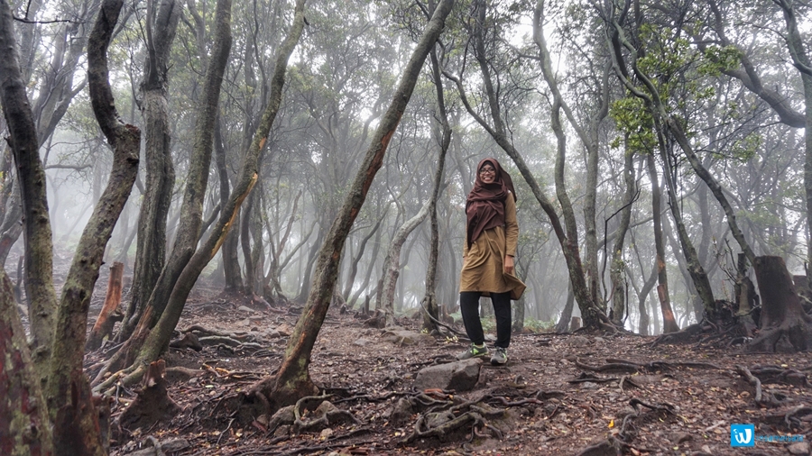 kawah putih ciwidey