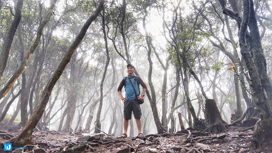 kawah putih ciwidey
