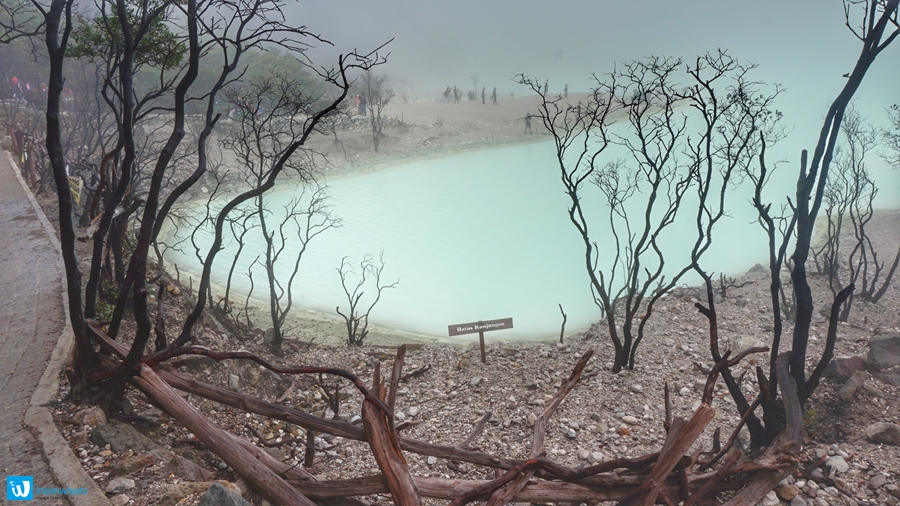 kawah putih ciwidey