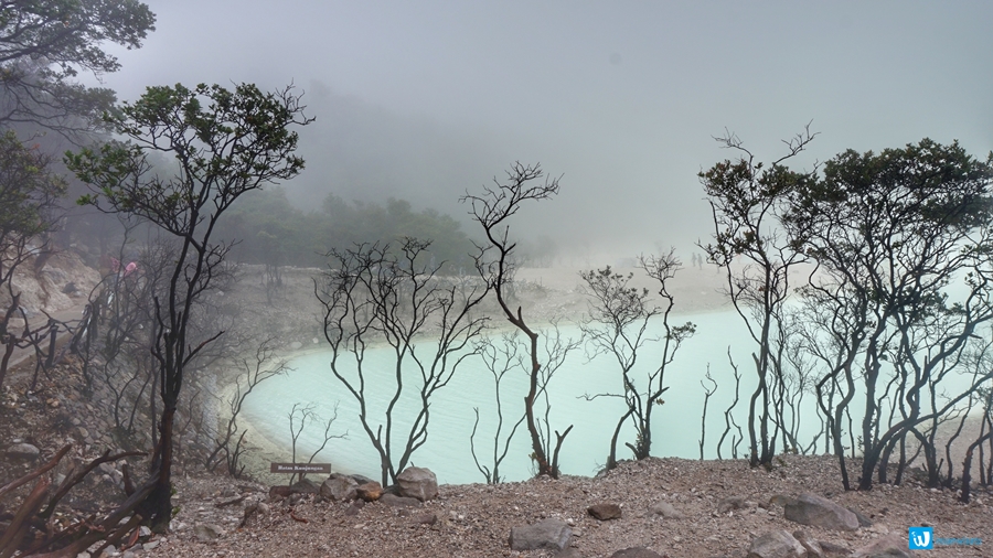 kawah putih ciwidey