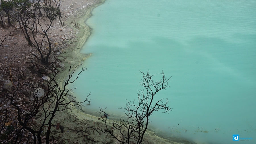 kawah putih ciwidey