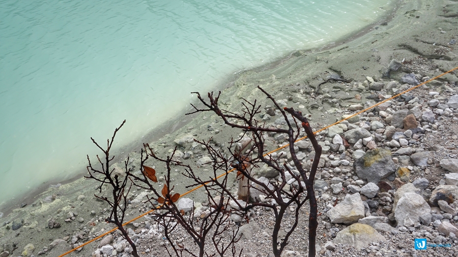 kawah putih ciwidey