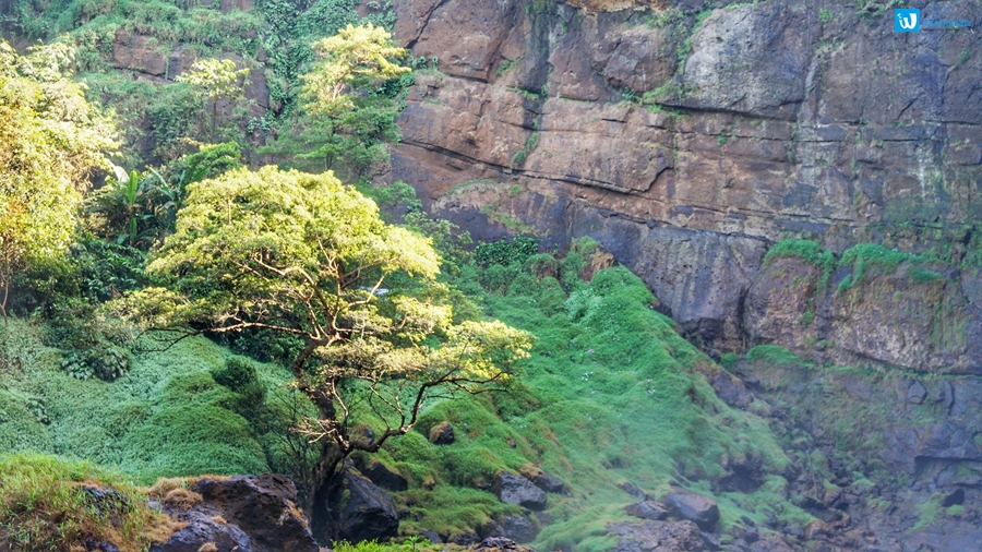 Curug Cimarinjung