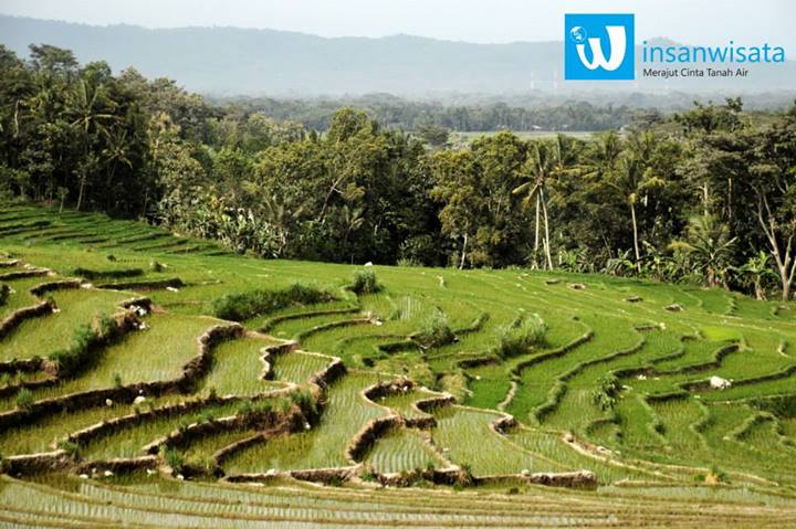 Fakta Unik Purworejo