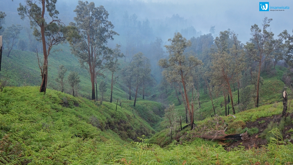 pemandangan di ijen