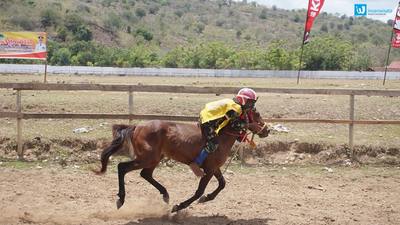 pacoa jara
