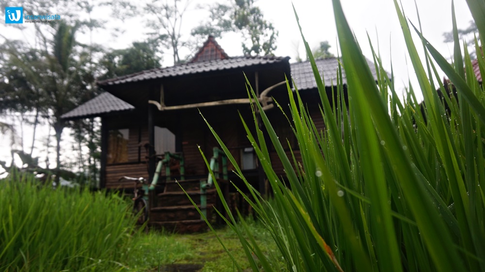 pikas resort