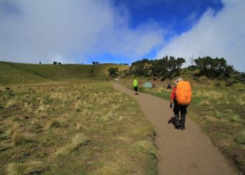 Merbabu jalur Suwanting