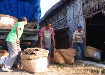 Tembakau Vorstenlanden Klaten