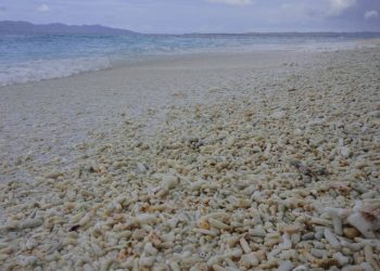 Pulau Sara, Pesona Kepulauan Talaud di Bibir Pasifik