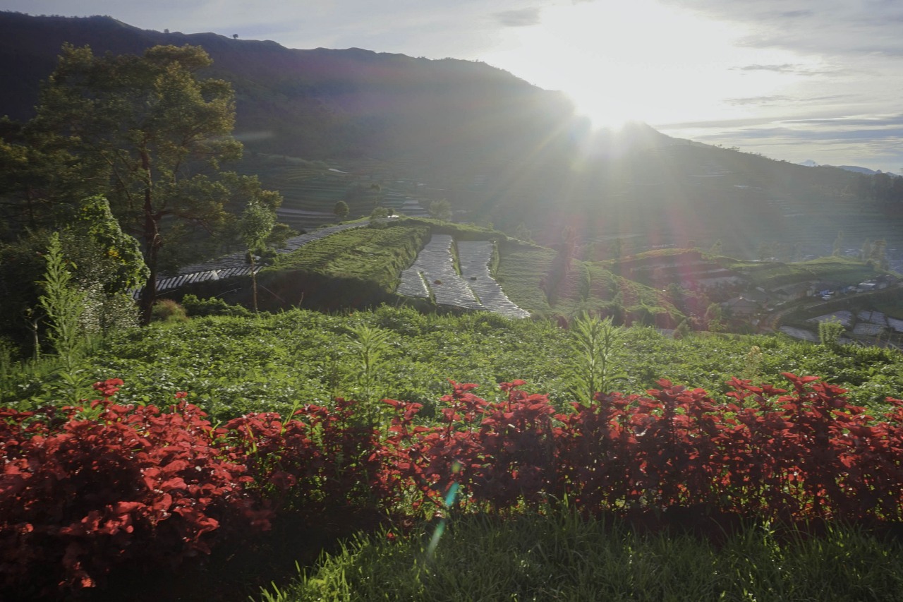Keindahan Tanah Para Dewa dari Bukit Scotter, Dieng
