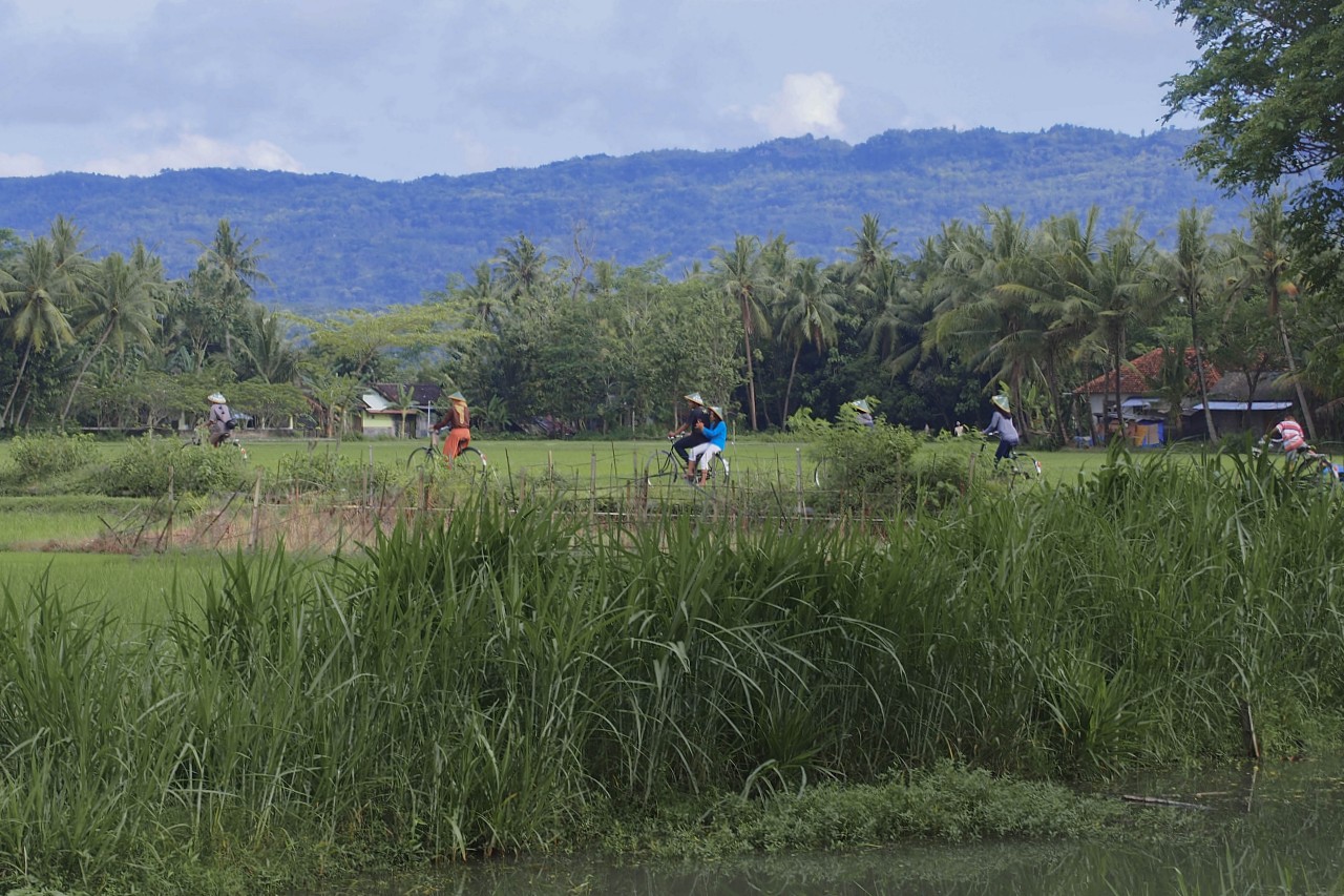 Desa Wisata Kebonagung Bantul