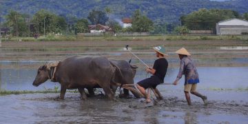 Desa Wisata Kebonagung Bantul